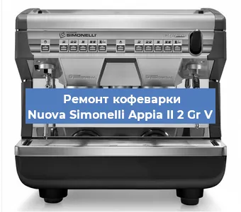 Замена фильтра на кофемашине Nuova Simonelli Appia II 2 Gr V в Новосибирске